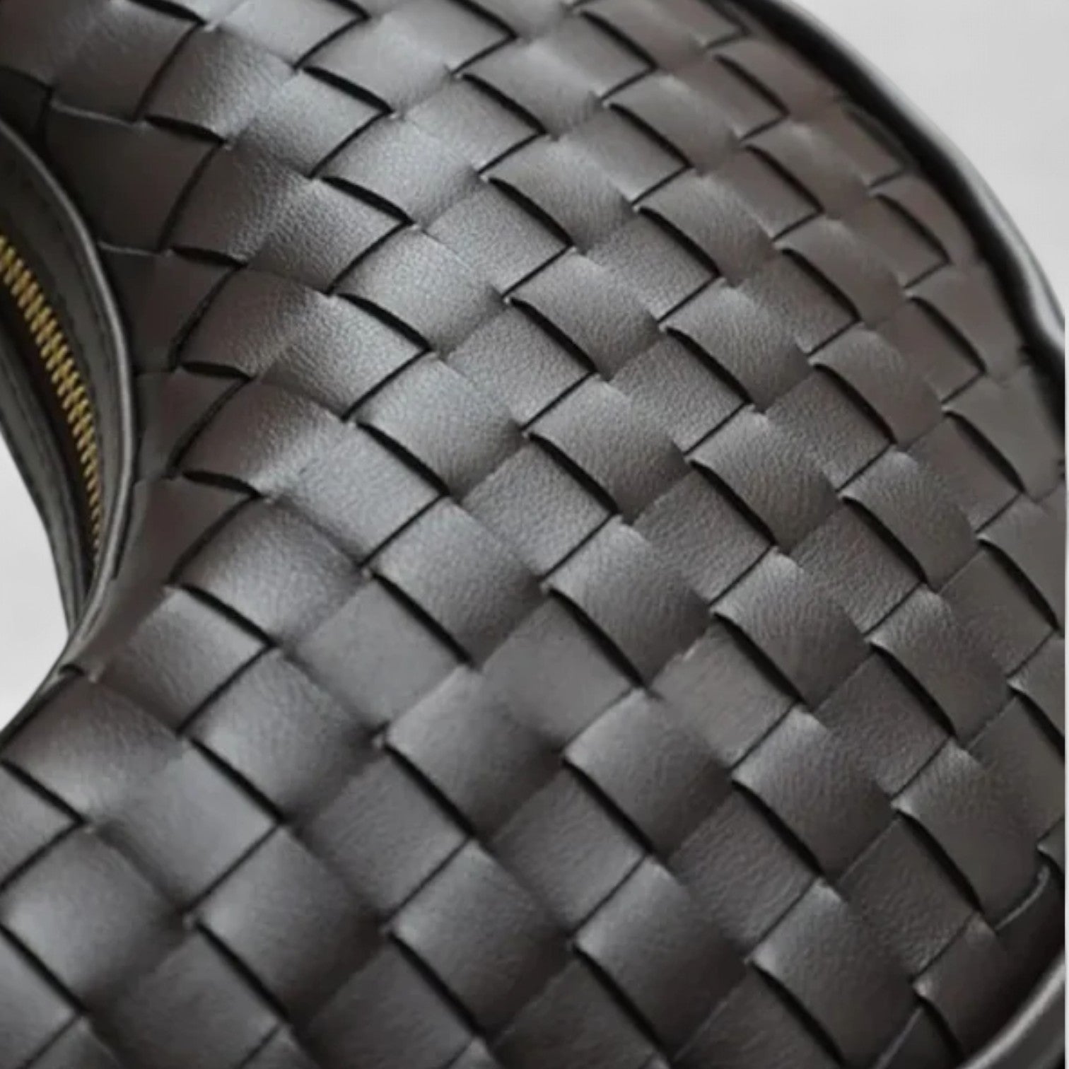 Elena Crescent Bag in Pure Leather